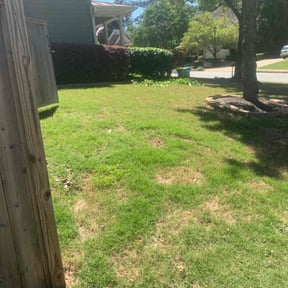 Bush Trimming by ASB Lawncare reviewed on August 20, 2025