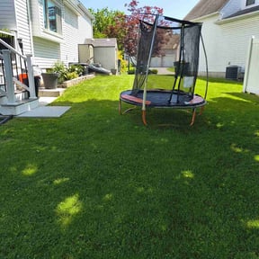 yard care by Armstrong's Lawn Care Plus reviewed on August 17, 2025