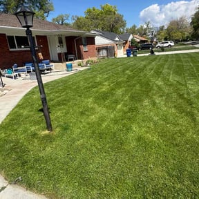 grass cutting by Will's Sharp Edge Cutz reviewed on August 15, 2025