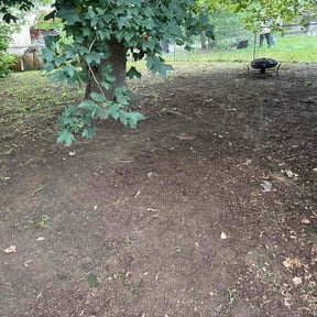 Leaf Removal by Felo pride lawn service reviewed on September 12, 2025