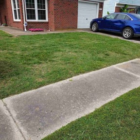 Bush Trimming by Cutler Lawn Care reviewed on August 17, 2025