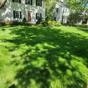 landscaping services by M & J Lawn Care Service reviewed on August 15, 2025