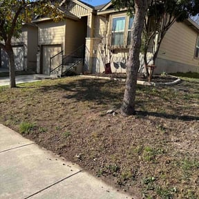 Leaf Removal by Allentown Lawn and Landscape reviewed on April 12, 2026