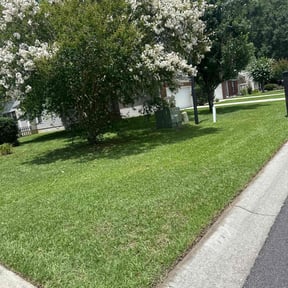 yard care by Complete Lawn Care reviewed on August 15, 2025
