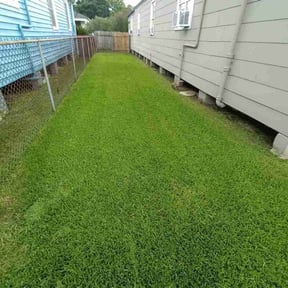 landscape maintenance by Galilee landscaping reviewed on August 16, 2025