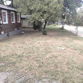 Leaf Removal by A&amp;J Services reviewed on September 27, 2025