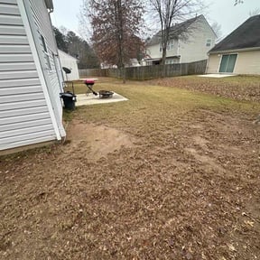 Leaf Removal by The lawn groomers reviewed on October 15, 2026