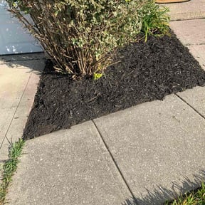 Flower Bed Weeding by Contreras Outdoors reviewed on November 6, 2025