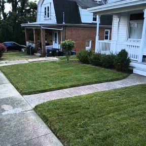 lawn service by Hogman and sons lawncare plus reviewed on July 24, 2025