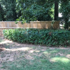 Bush Trimming by Ard's maintenance and lawn care reviewed on August 18, 2025
