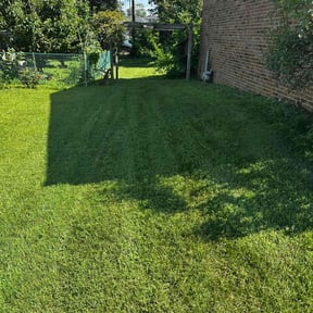 grass maintenance by Yard Boss Lawn & Landscape LLC reviewed on August 19, 2025