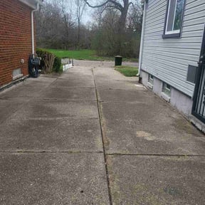 Bush Trimming by Zad's Lawn Worx reviewed on April 11, 2026