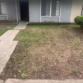 Leaf Removal by Robert Contreras lawn service llc reviewed on March 11, 2026