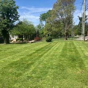 yard service by Tony's Lawn Care and Landscaping reviewed on August 18, 2025
