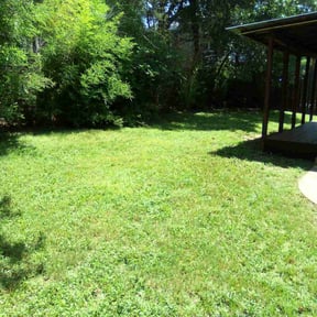 Cleanups by Phillip Landscape reviewed on August 15, 2025