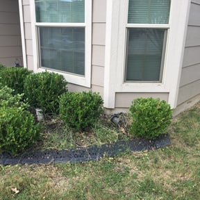 Bush Trimming by D&W Landscaping reviewed on August 20, 2025