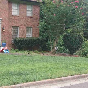 Bush Trimming by Earls Lawn Care reviewed on July 2, 2026