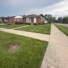 yard care by Lawson Services reviewed on August 19, 2025