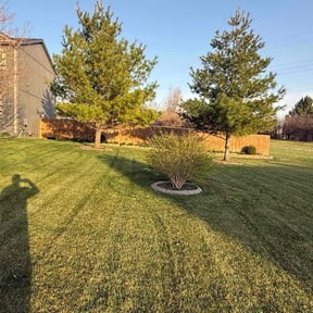 gardening service by Tim's Discount Lawn reviewed on August 21, 2025