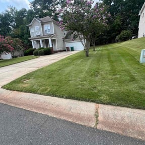 yard service by Cream of the Cut Lawn Care reviewed on February 4, 2026