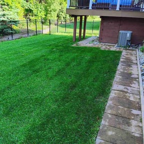 landscaping by Mow-2-Snow Yard Service reviewed on March 9, 2026