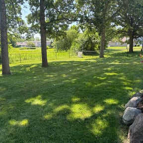 yard care by Mike's Lawn Care reviewed on August 17, 2025
