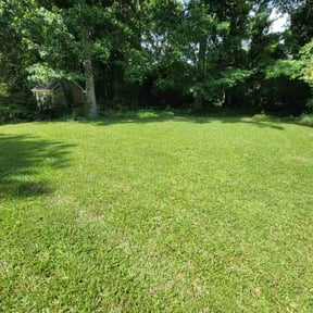 landscaping services by 240 LLC reviewed on August 15, 2025