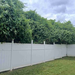 Bush Trimming by Lawn Impression reviewed on August 15, 2025