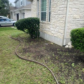 Bush Trimming by landscaping reviewed on August 18, 2025