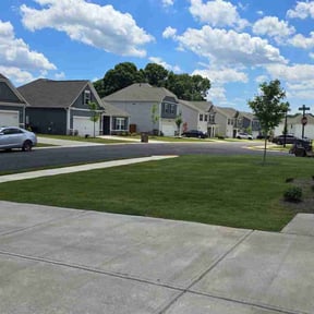 landscaping by Bad Daddy Lawns reviewed on August 19, 2025