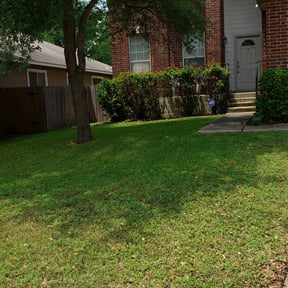 Bush Trimming by HITT Exteriors reviewed on August 18, 2025