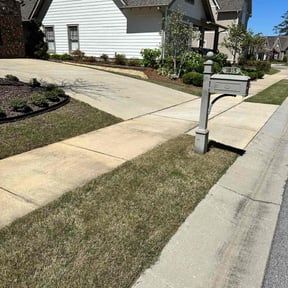 yard work by Loveladys Lawn Care reviewed on August 16, 2025