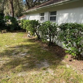 Bush Trimming by J’s Lawn Care reviewed on August 19, 2025