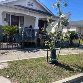 Bush Trimming by Midwest Mowing reviewed on July 1, 2021