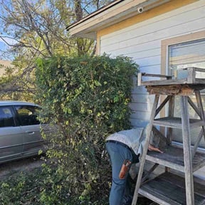 Bush Trimming by Watson Yard Works reviewed on August 18, 2025