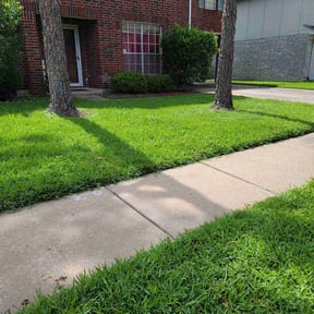 landscape maintenance by JST'S Handyman Services reviewed on August 15, 2025