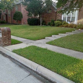 yard service by vets lawn care reviewed on August 20, 2025