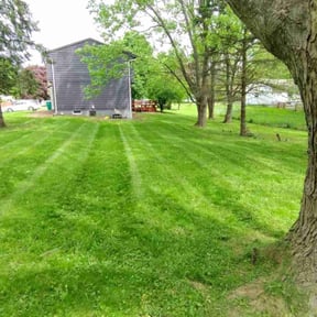 yard service by doable llc reviewed on August 15, 2025