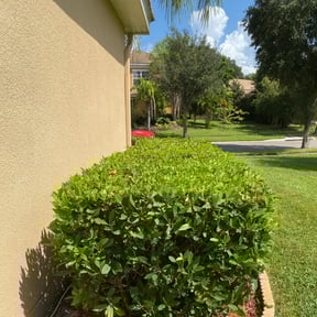 Bush Trimming by 2TXT LLC reviewed on November 20, 2025