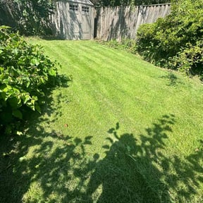 Flower Bed Weeding by GTS Lawn Company reviewed on August 11, 2025