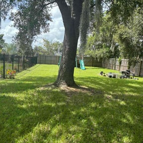 yard maintenance by Trip reviewed on August 16, 2025