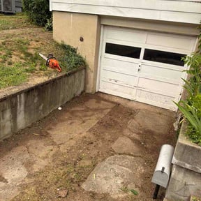 Leaf Removal by Speedy lawn care and junk be gone reviewed on July 20, 2026