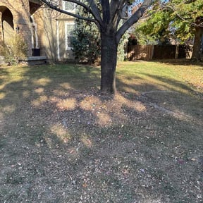 Leaf Removal by Master. Outdoor Services reviewed on November 24, 2025