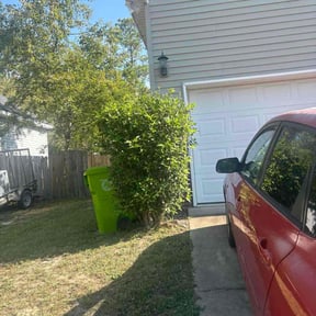 Bush Trimming by Black horse reviewed on July 7, 2022