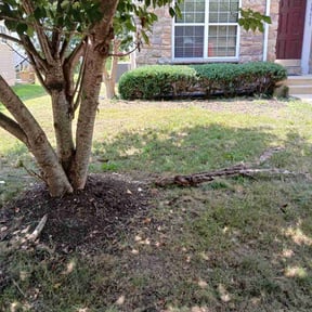 Bush Trimming by Barnes Lawn Care reviewed on August 17, 2025