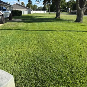 yard service by Busy Bee&#039;s Lawn Care LLC reviewed on August 5, 2024