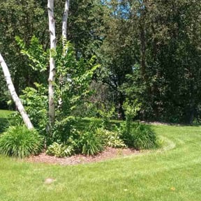 yard maintenance by Brilliantly Bright LLC reviewed on December 25, 2025