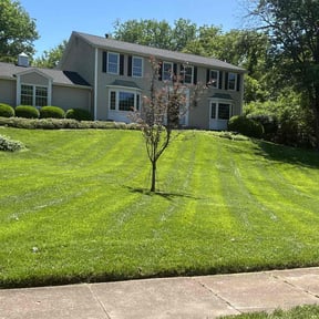 lawn service by Thom&#039;s mowing and lawn care reviewed on August 18, 2025