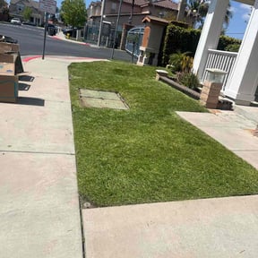 lawn care by Grid Pest &amp; Lawn reviewed on August 16, 2025