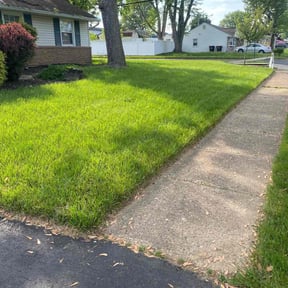yard care by Glm landscaping reviewed on August 19, 2025